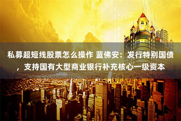 私募超短线股票怎么操作 蓝佛安：发行特别国债，支持国有大型商业银行补充核心一级资本